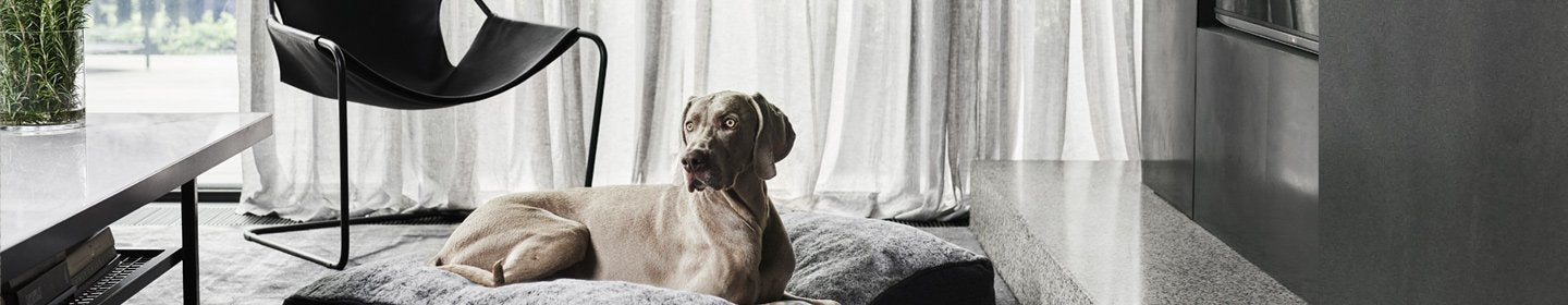 Manteau pour chien - PEPERE SHOP