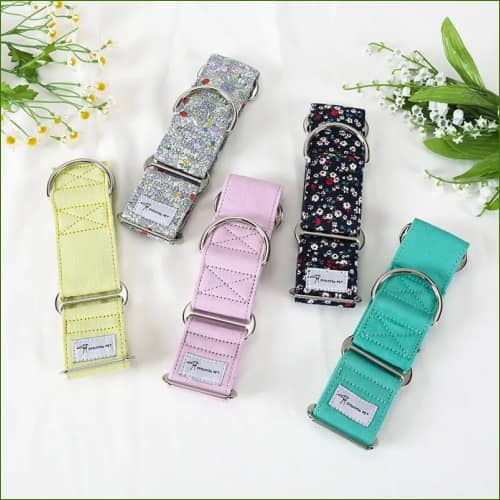 Gamme de Collier En Coton Pour Chiens Lévriers Whippets Ou Italiens