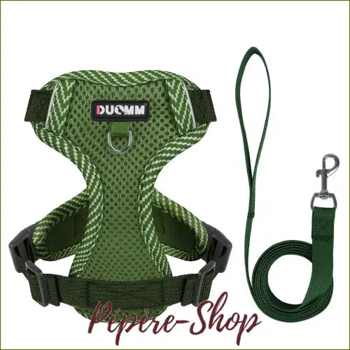 Ensemble Harnais et laisse respirant et réfléchissant pour petit chien