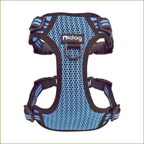 Harnais anti-traction pour petit chien MIDOG, souple et respirant Bleu / XL