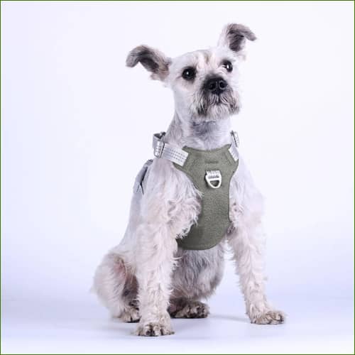 Harnais avec système anti-tirage à double attache pour chien