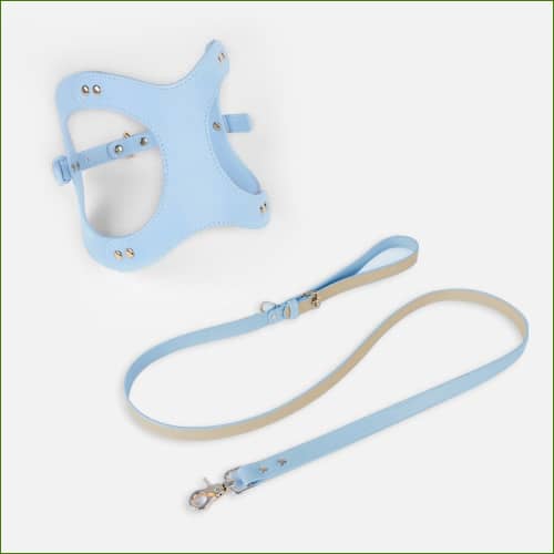 Harnais Cuir Petit Chien Avec Laisse Type Baudrier Ensemble Bleu / Xs