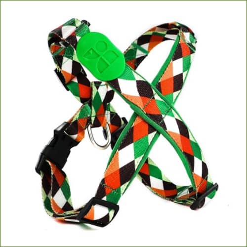 Harnais de luxe pour chien Pop art / S