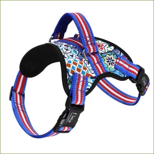 Harnais de promenade pour chien MIDOG Bleu / Xl