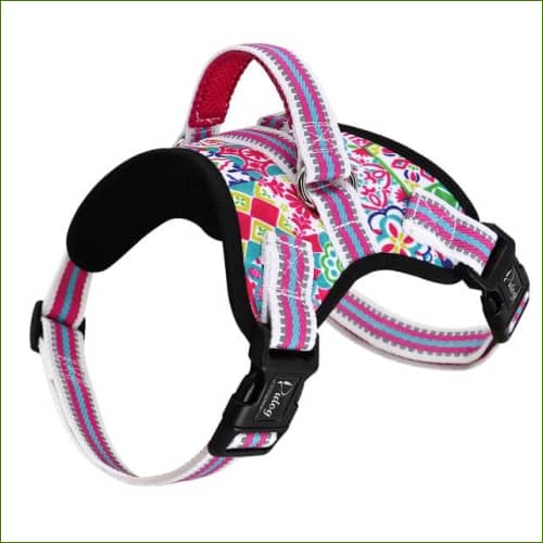 Harnais de promenade pour chien MIDOG Rose / S