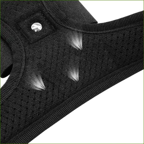 Harnais décoratif pour petit chien respirant