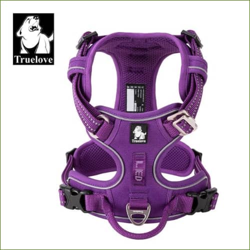Harnais de promenade TRUE LOVE Violet / L