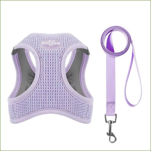 Harnais Fantaisie - Modèle Ergonomique Avec Laisse Assortie Violet / Xxs