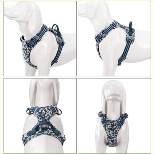 harnais réglable pour animal domestique