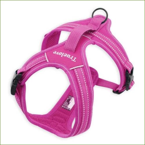 Harnais canin fuchsia / XS 43-49cm