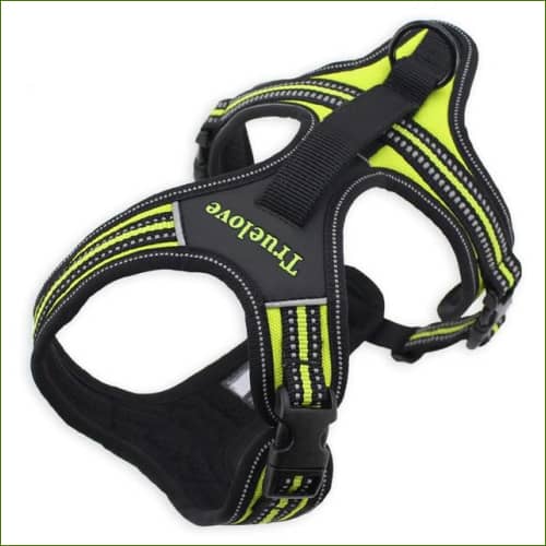 Harnais pour animaux / S 48-60cm