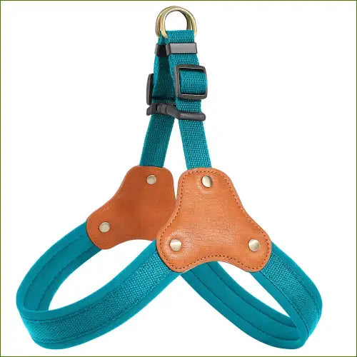 Harnais en couleur bleu