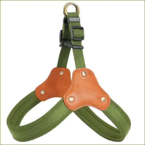 Harnais en couleur vert