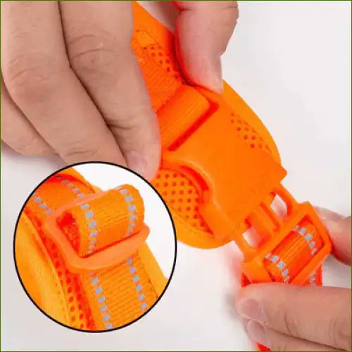 Harnais pour berger australien avec fermeture par boucles rapides