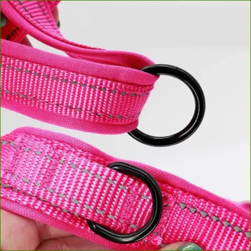 Harnais pour Boxer - anneau de laisse en acier