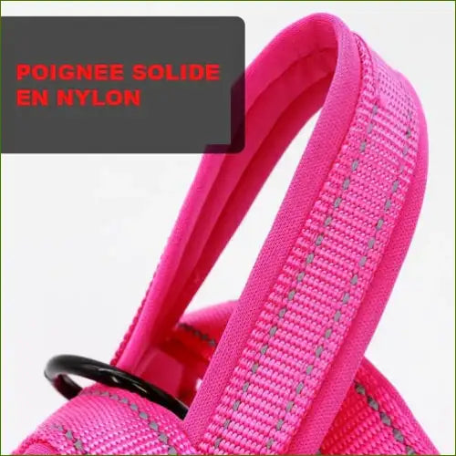 Harnais pour Boxer avec poignée