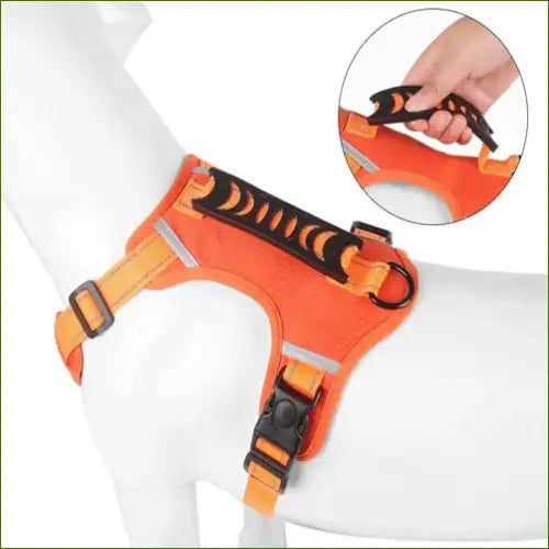 Harnais pour chien en H avec poignée