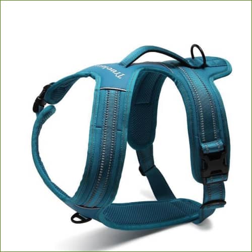 Harnais Rottweiler - Double attache et robuste - modèle FOREST - Bleu / S(48-60cm)-PEPERE SHOP
