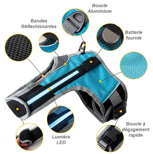 Détail du harnais lumineux