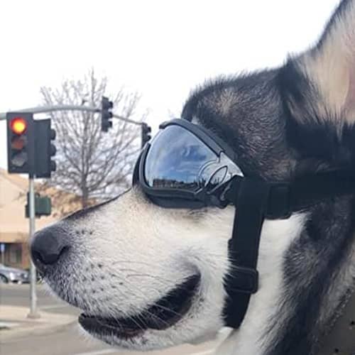 Lunettes De Soleil Canines vue de profil