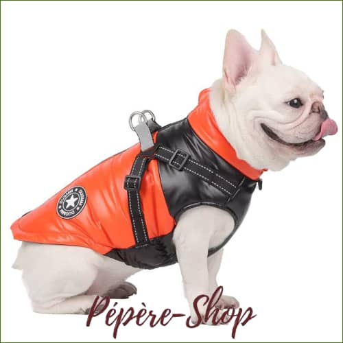 Manteau Harnais Pour French Bouledogue - Réfléchissant