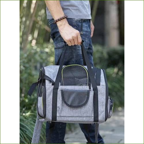 Sac a dos porte chien BEPET porté à la main