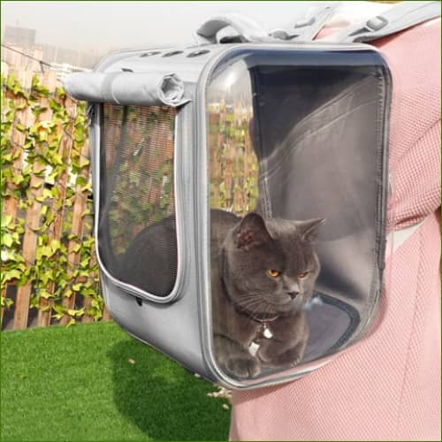 Sac à dos pour transporter un chat facilement