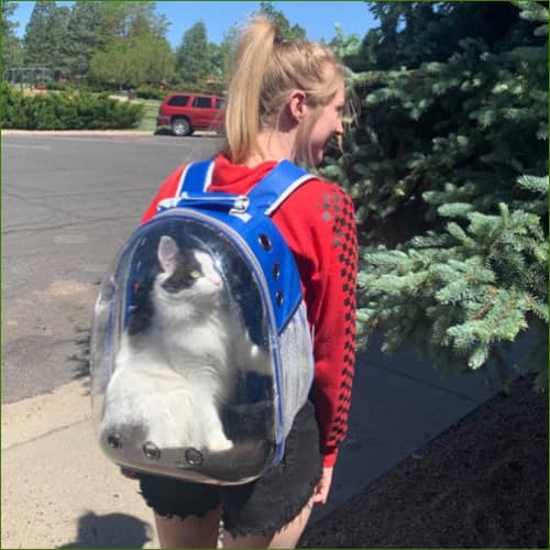 Sac à dos transparent pour le transport de chien avec poignée