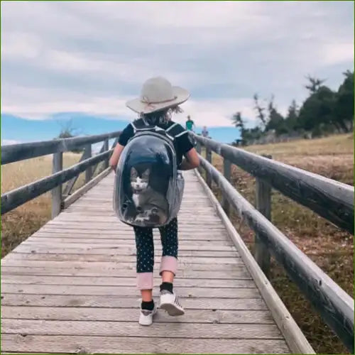 Sac à dos transparent pour le transport de chien agréable à porter