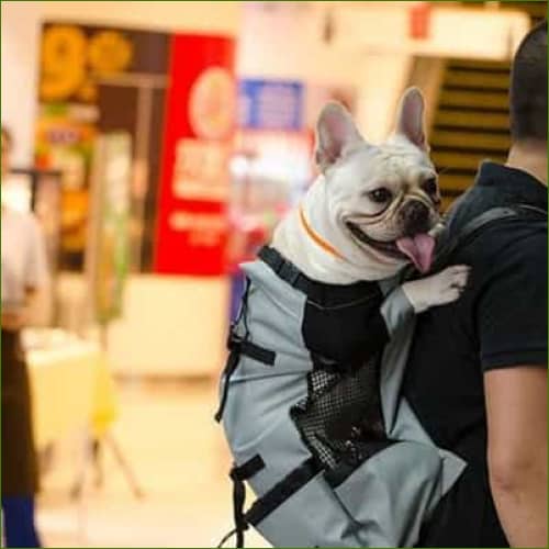 Sac de transport pour gros chien