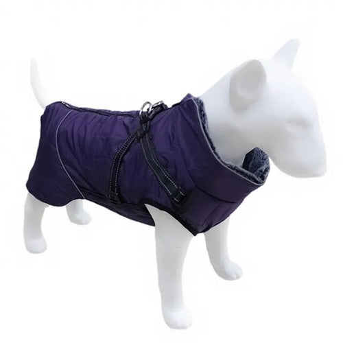 Veste grand chien imperméable avec harnais