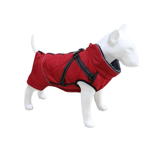 Veste grand chien imperméable avec harnais