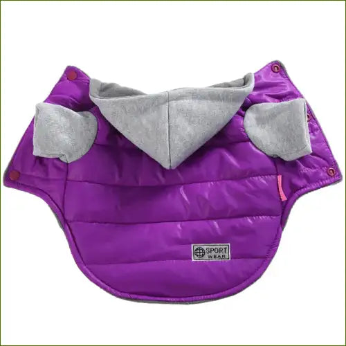 Veste en couleur violet