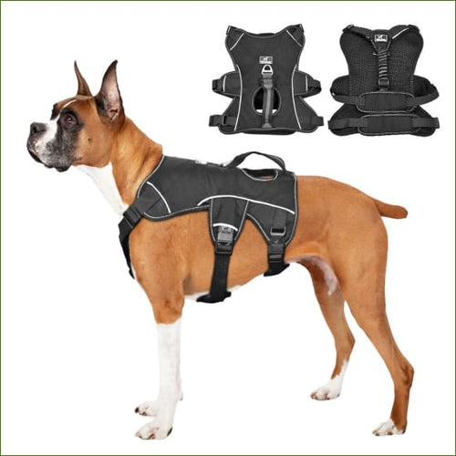 Harnais traction chien - modèle en nylon avec poignée et réfléchissant - en situation sur un boxer