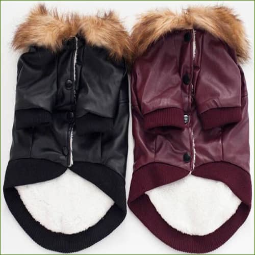 veste en cuir pour chien
