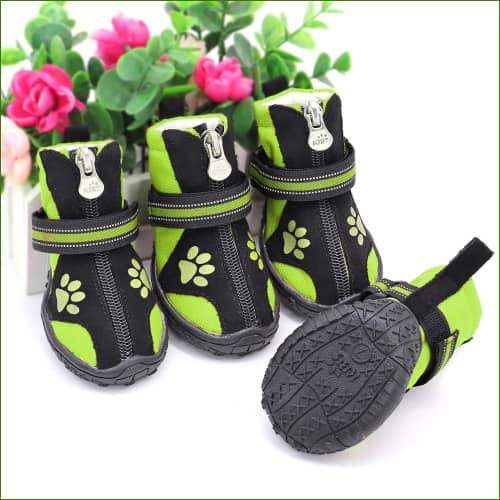 Bottes Pour animaux de compagnie - Lot De 4 Pièces
