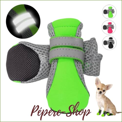 Chaussures Dété Respirantes Pour Animal De Compagnie