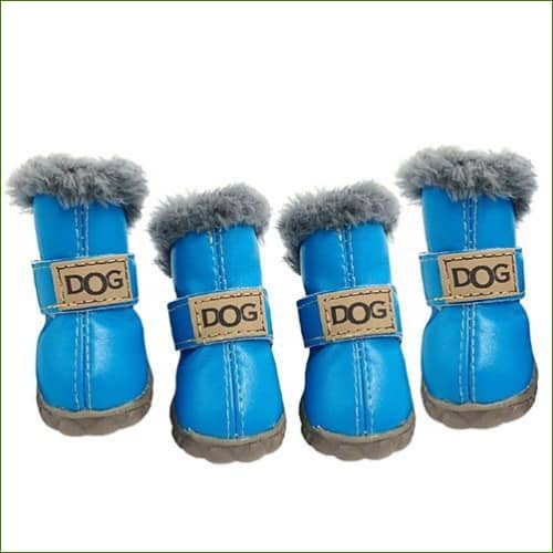 Bottines Pour Chihuahuas Bleu / L