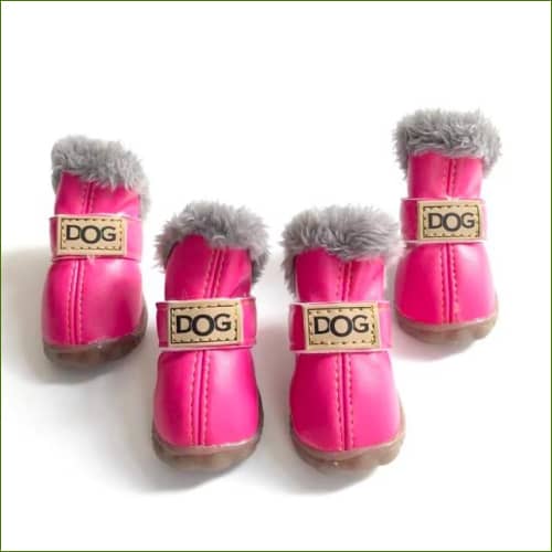 Chaussures Pour Chihuahuas Rose / L