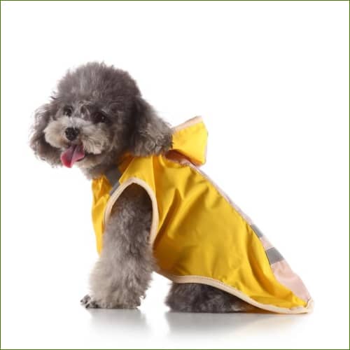 vêtement Pour animal de compagnie Avec Capuche Or / S