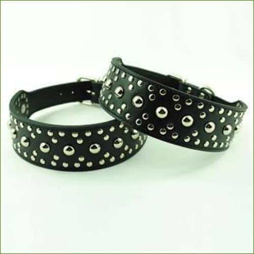 Collier pour animal de compagnie clouté - 5Cm De Large Réglable Noir / Xs