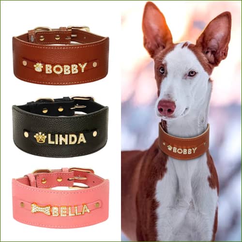 Colliers En Cuir Personnalisés Pour chiens Lévriers