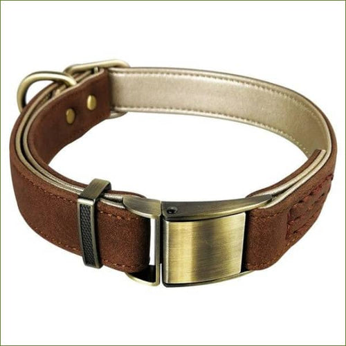Collier cuir pour petit chien rembourré marron / L