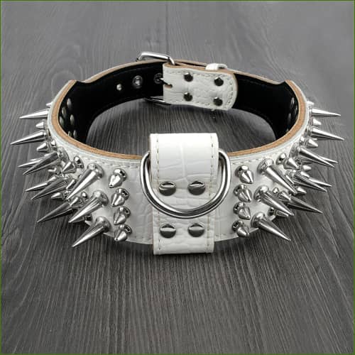 Collier En Cuir Véritable Clouté Pour Chien Blanc / Xl Collier