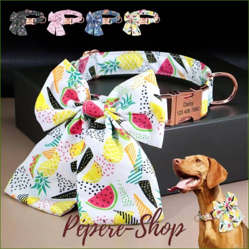 Collier En Soie Pour Chien Avec Boucle Personnalisée Et Nud Papillon