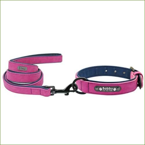 Collier Et Laisse En Cuir Midog Avec Rembourrage Néoprène Violet / 2Xl