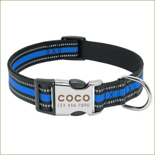 Collier Fluo Gravé Bleu / L