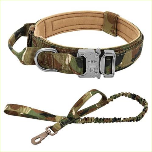 collier militaire pour chien Camouflage / M