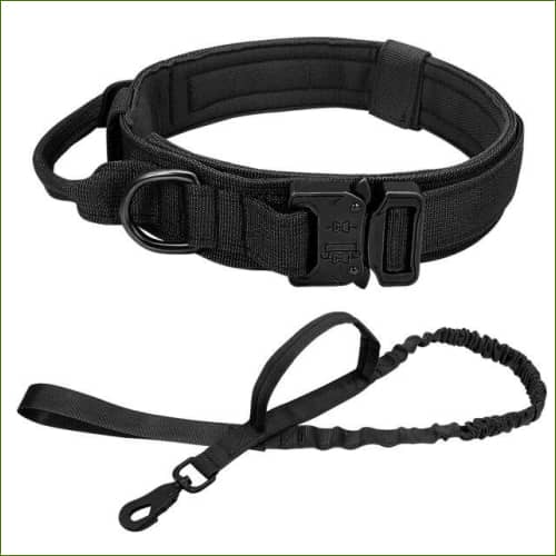 collier militaire pour chien Ensemble Noir / M