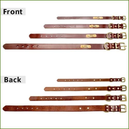 collier personnalisable pour chien pas cher détail des largeurs